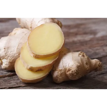 Ginger (17)-3160426-46592.webp